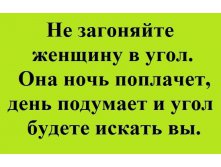 не загоняй в угол.jpg