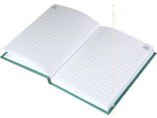 Записная книжка Для связи с информационным полем земли лист.png