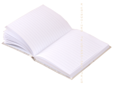 Записная книжка Правда и ничего, кроме правды ист.png