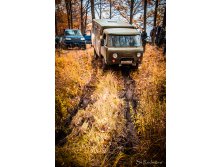 IMG_7784.jpg