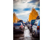 IMG_7881.jpg