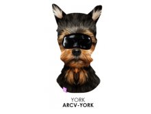 ARCV-YORK