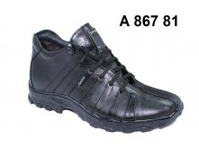 2300. A-867-81