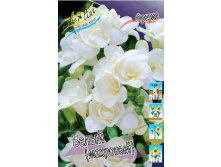 Freesia Double White 60,6. 15.jpg