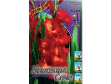 Gladiolus Hunting Song 10.  61,1.jpg