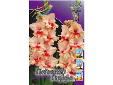 Gladiolus Painted Frizzles 10.  69.jpg