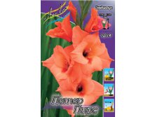 Gladiolus Peter Pears 10.  56,2.jpg