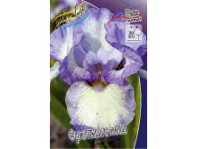 Iris germanica Frothingslosh 205,3. 3..jpg