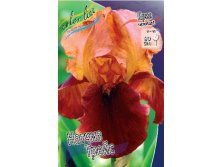 Iris germanica Natchez Trace 205,3. 3..jpg