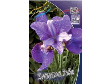 Iris sibirica Harpswell Haze 139,00.  3.jpg