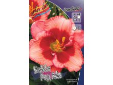 Hemerocallis Baby Red Eyes 278,7 .  2 ..jpg