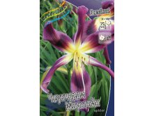 Hemerocallis Chokecherry Mountain 187,6.  1 ..jpg