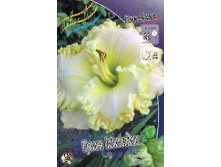 Hemerocallis Green Mystique 303.  2 ..jpg