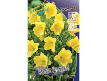 Hemerocallis Happy Returns 266,5.  5 ..jpg