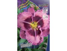 Hemerocallis Macbeth 205,8.  2 ..jpg