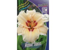 Hemerocallis Lynn Hall 284,7.  5 ..jpg