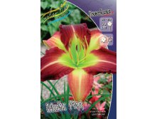 Hemerocallis Mike Reed 278,7 .  2 ..jpg