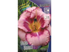 Hemerocallis New Quest 249,5.  2 ..jpg