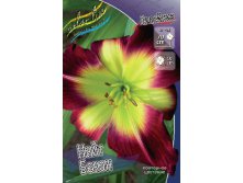 Hemerocallis Night Beacon 248,3.  3 ..jpg