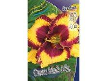 Hemerocallis Open My Eyes 278,7 .  2 ..jpg