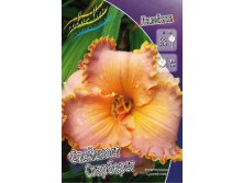 Hemerocallis Spacecost Starbust 303.  2 ..jpg