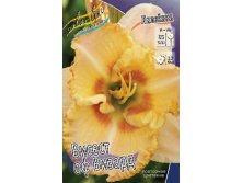 Hemerocallis Wisest of Wizards 241,00.  3 ..jpg