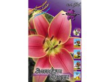 Lilium Elegant Crown 10 . 235,3 ..jpg