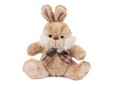 GL000039398 LEADER KIDS,  . , (24 ) 246 .jpg