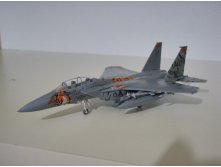 Revell F-15E 1.JPG