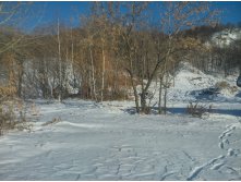 DSC_0226.jpg