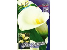 Zantedeschia Mint Julip 200,9 .  3 ..jpg