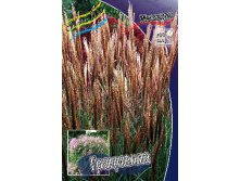 28_Miscanthus Graziella 215,5 .  3 ..jpg