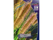 52_Pennisetum Cassian 215,5 .  3 ..jpg