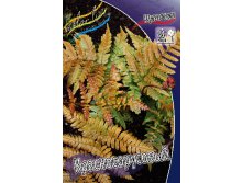 59_Dryopteris erythrosora  198,5 .  2 ..jpg