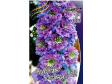 236_Delphinium Highlander Blueberry Pie 193,7 .  1 .jpg