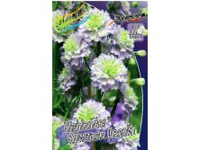 237_Delphinium Highlander Crystal Delight 193,7 .  1 .jpg