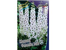 243_Delphinium Magic Fountain White 113,5  .  2 .jpg