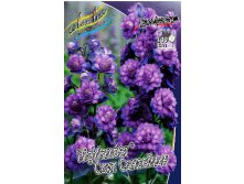 240_Delphinium Highlander Sweet Sensation 193,7 .  1 .jpg