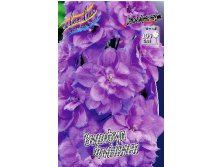 251_Delphinium Wishful Thinking 242,2 .  2 .jpg