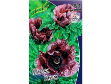 427_Papaver Pattys Plum 205,3 .  2 .jpg