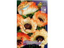 429_Papaver Picotee 169,4 .  2 .jpg