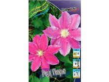 Clematis Red Pearl 547,10 .  5 .jpg