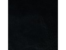01K0055.jpg