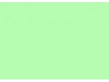 13-0220 GREEN.jpg