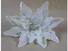 TLN737       2929  425