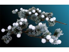 TLN1333          11550  1122