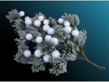 TLN1334           6035  941