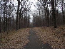 DSCF8116.JPG