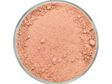 Rose Beige Blush.jpg