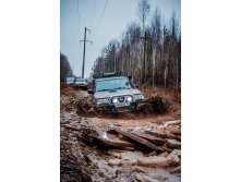 IMG_8598.jpg
